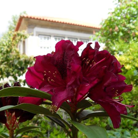 Quinta Do Bento Novo - Casa De Campo - Turismo Rural Viana do Castelo Dış mekan fotoğraf