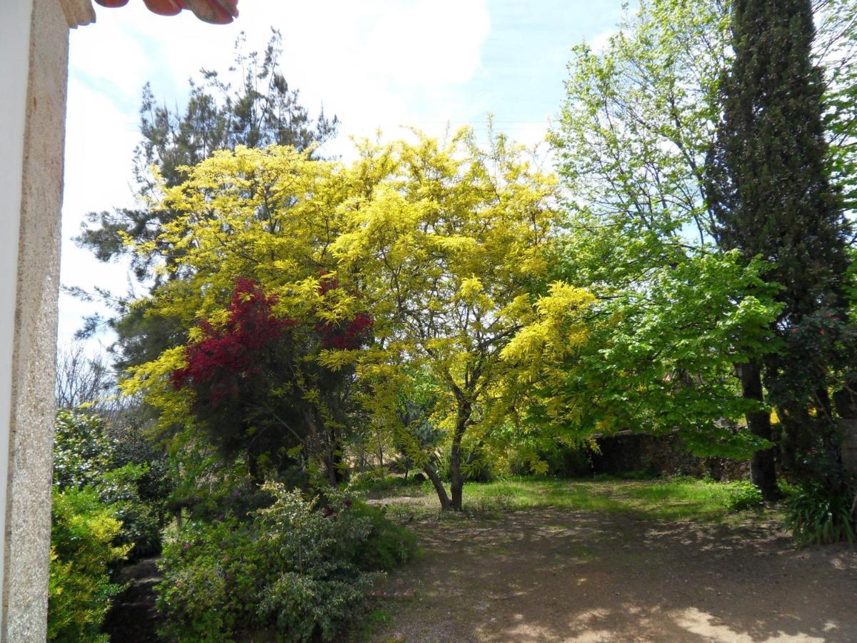 Quinta Do Bento Novo - Casa De Campo - Turismo Rural Viana do Castelo Dış mekan fotoğraf