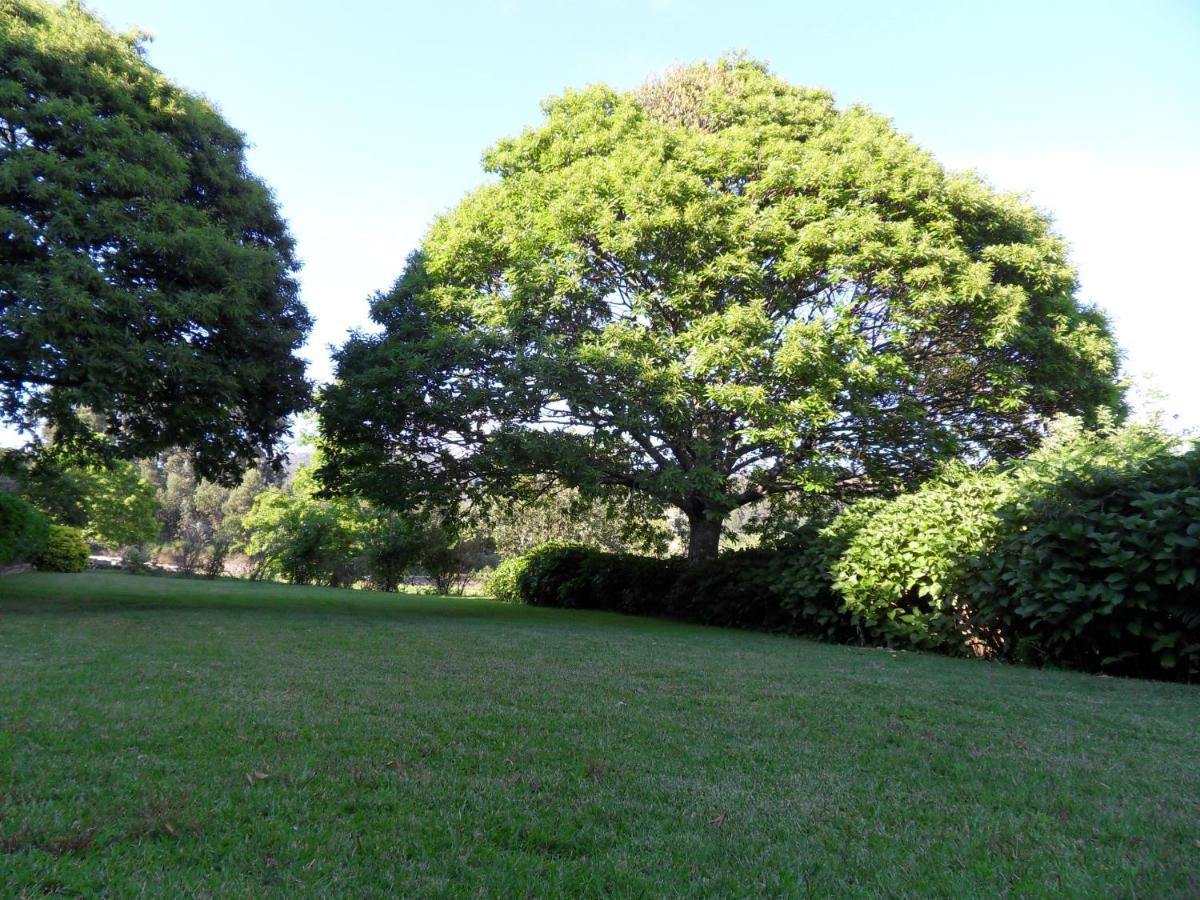 Quinta Do Bento Novo - Casa De Campo - Turismo Rural Viana do Castelo Dış mekan fotoğraf