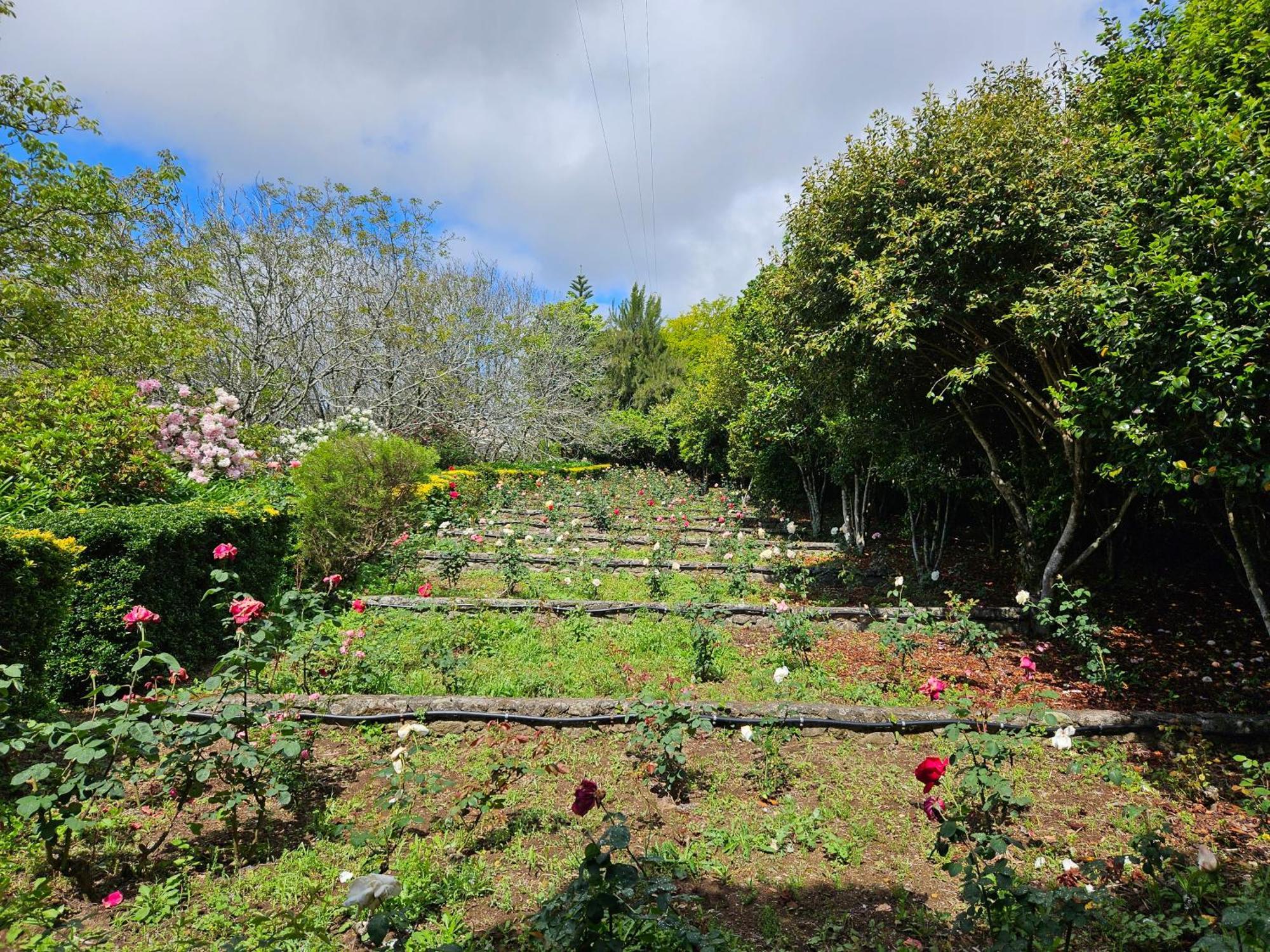 Quinta Do Bento Novo - Casa De Campo - Turismo Rural Viana do Castelo Dış mekan fotoğraf
